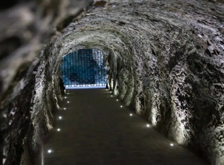 Gallery image
